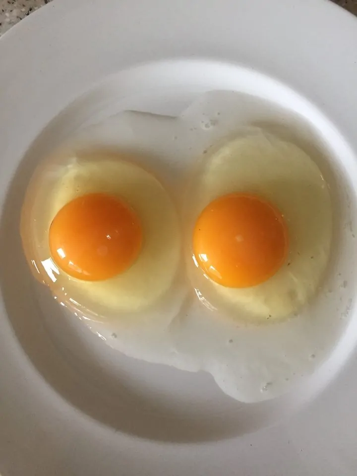 12541063_1025001754229725_1311613112583207185_n