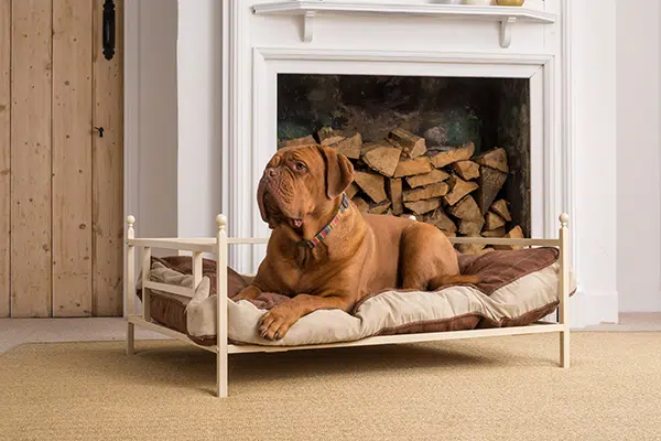 iron dog bed