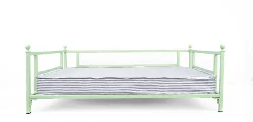 Mint painted dog bed without cushion – clean background