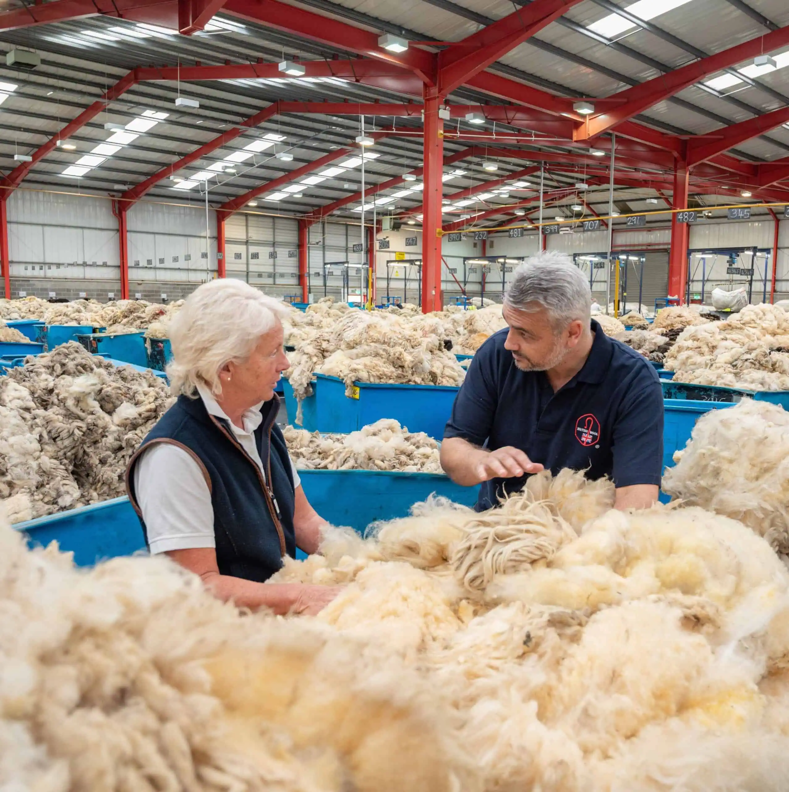 Sorting and grading wool fleece