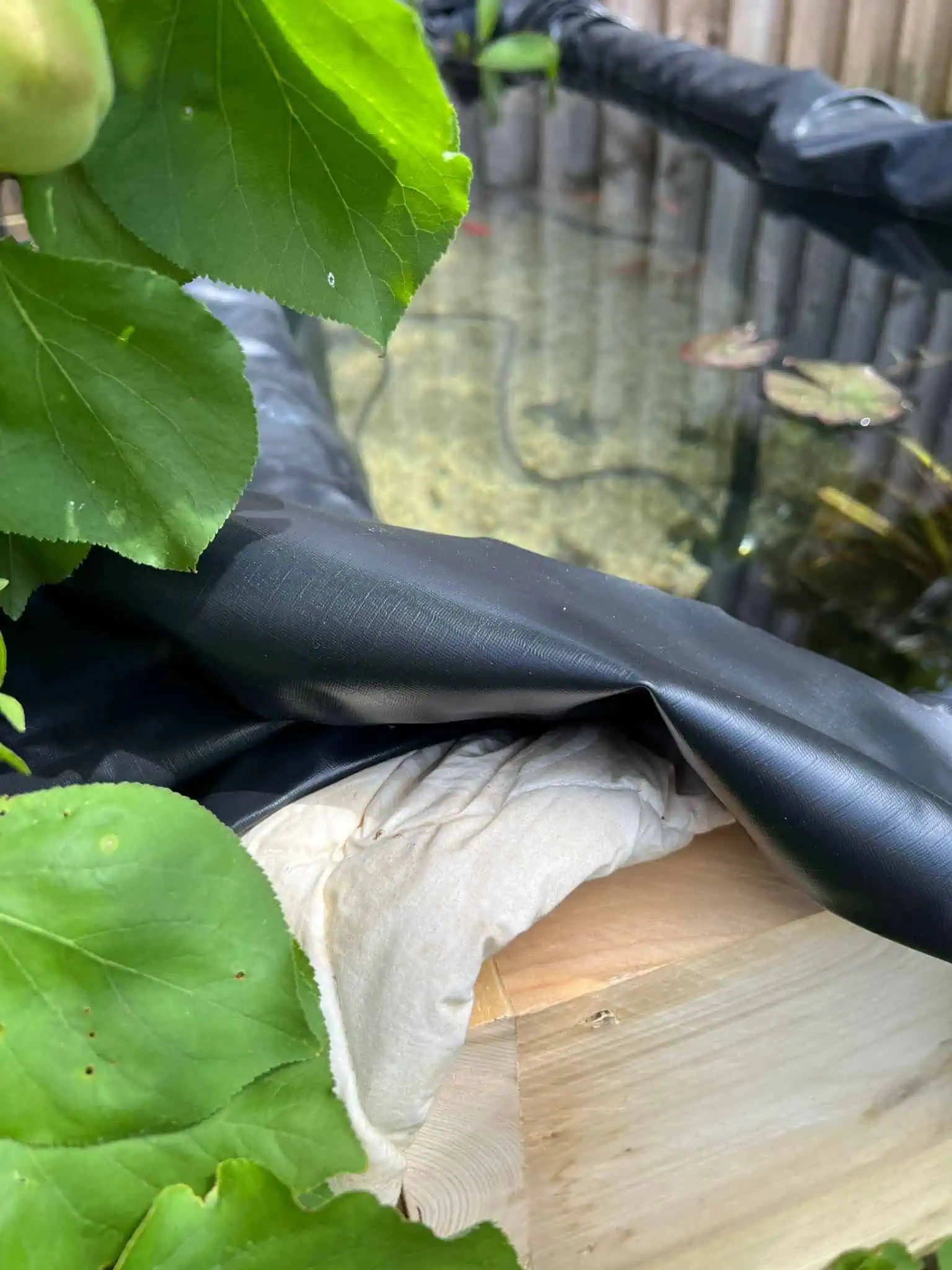 Wool Lining Pond old wool duvet lining pond