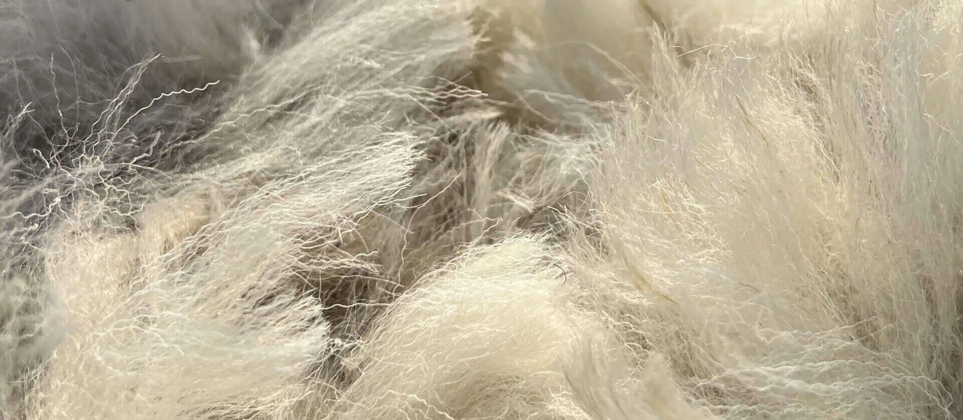 Raw wool fleece