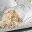 british made wool pillow with traceble wool filling and washable white cotton cover