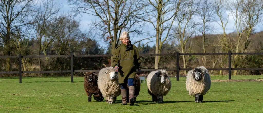 amanda-and-sheeps