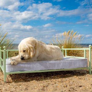 Original Iron Dog Bed