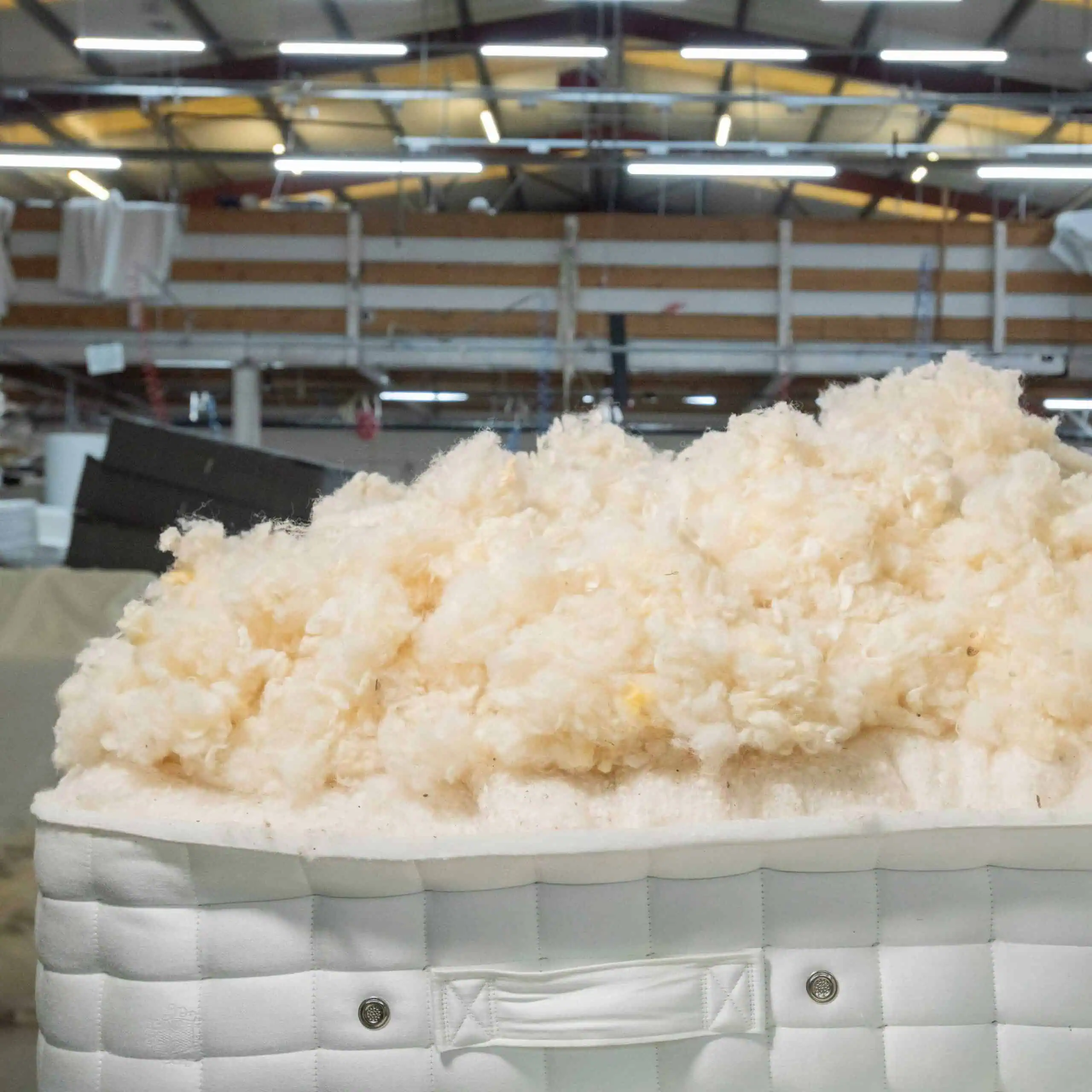 Loose British wool fillings layered above pocket springs during mattress making